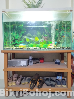 Aquarium For Sale